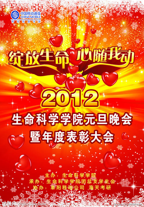 南安普敦大学商科文凭证书
